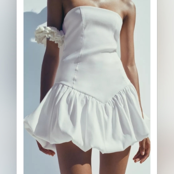 Zara Balloon Skirt Dress - Picture 3 of 6